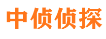 定安市婚姻调查